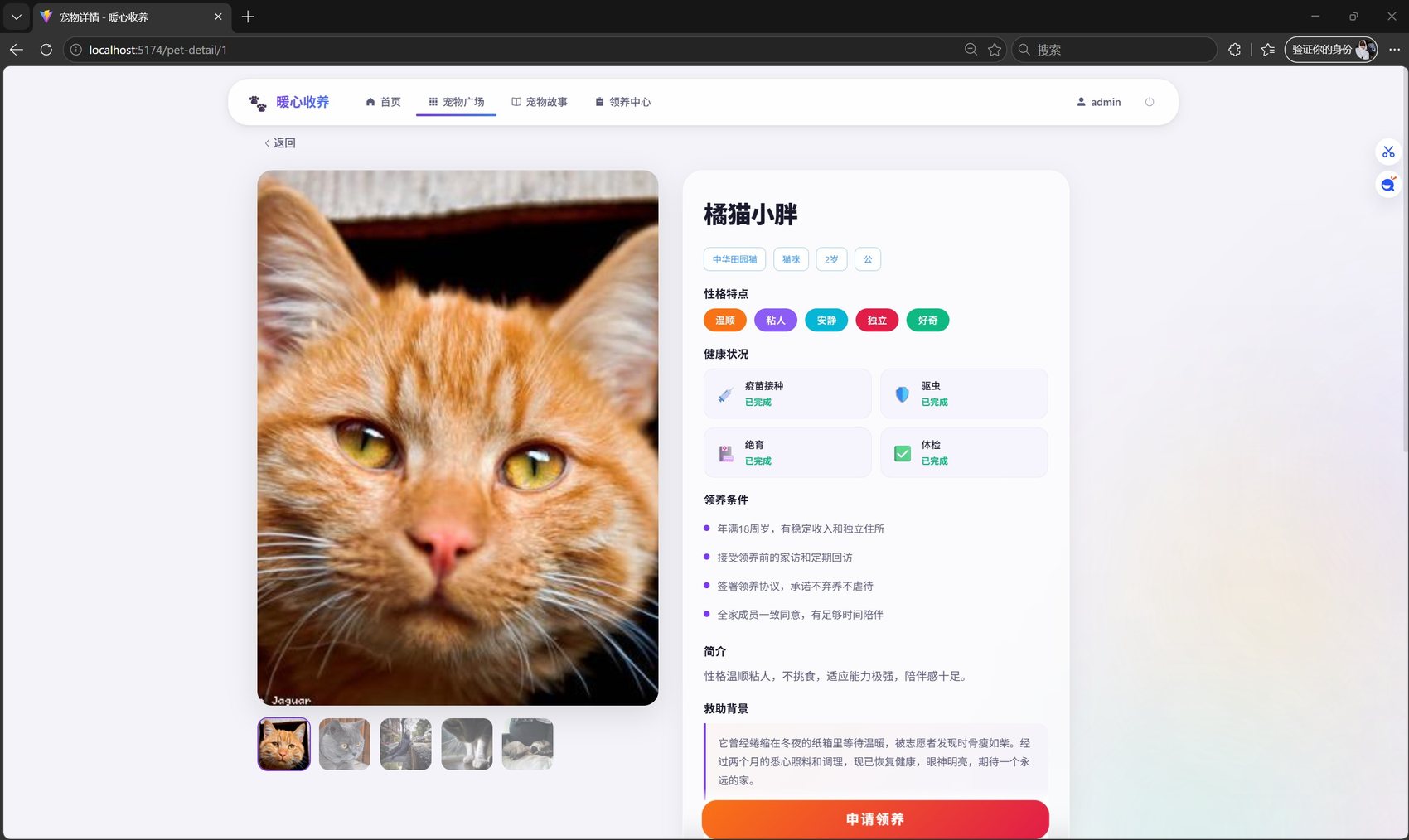 领养界面